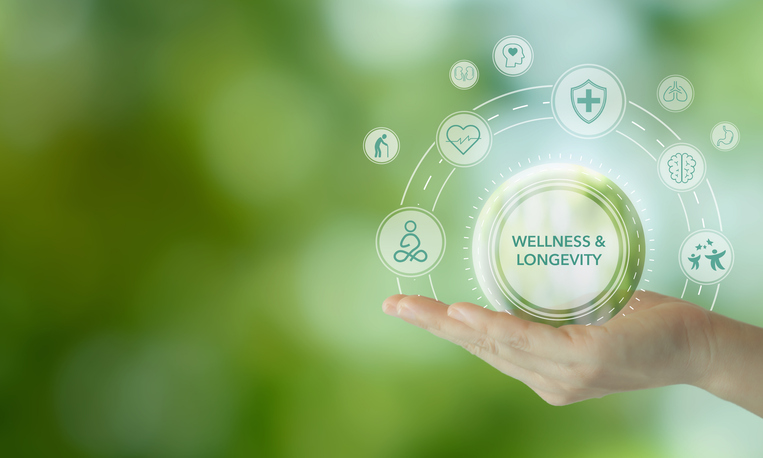 Nutrition sleep and physical activity representing holistic health